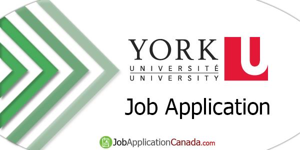 York University Job Application
